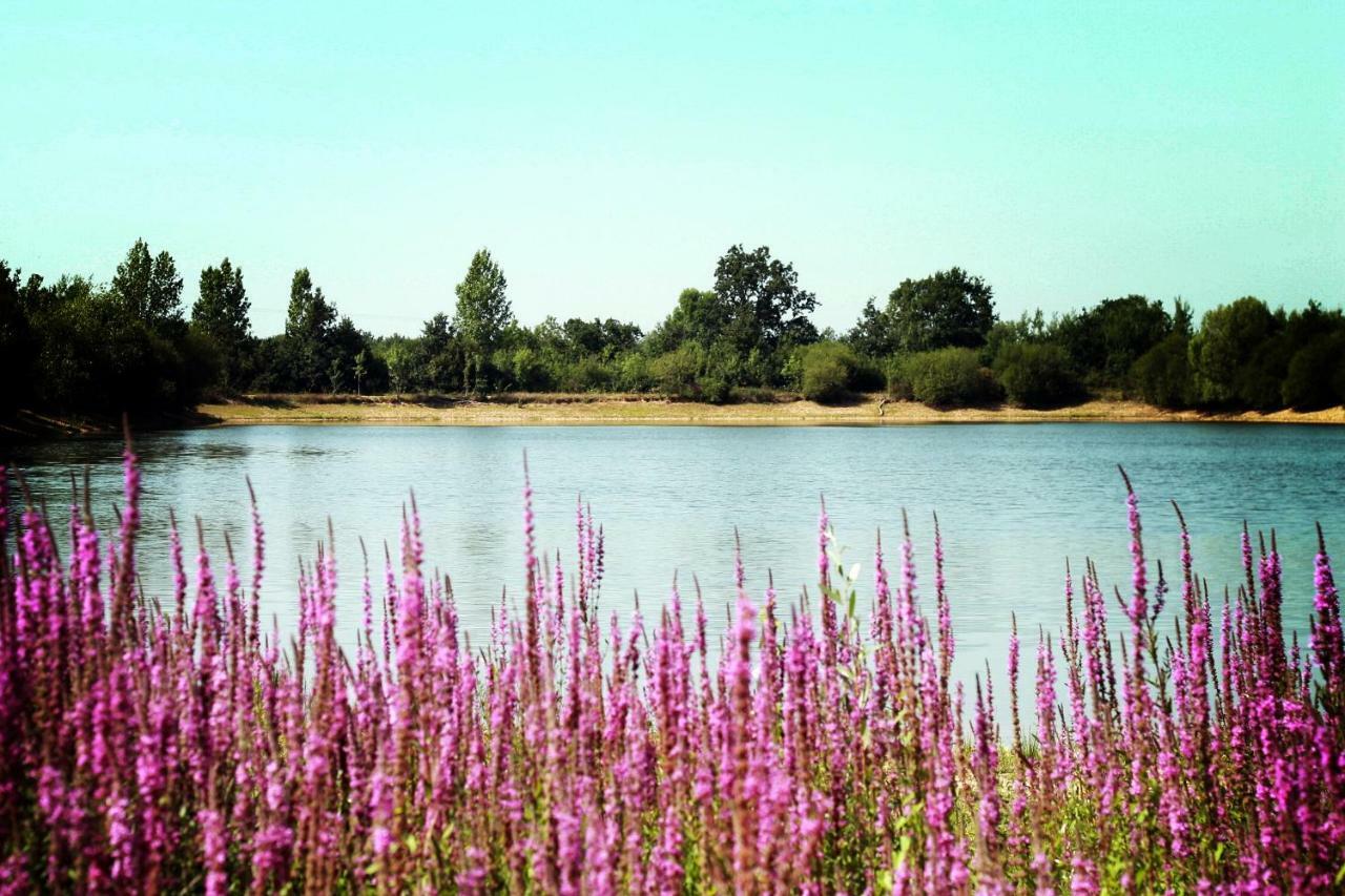 Camping Au Pre De L'Etang Sainte-Foy  ภายนอก รูปภาพ